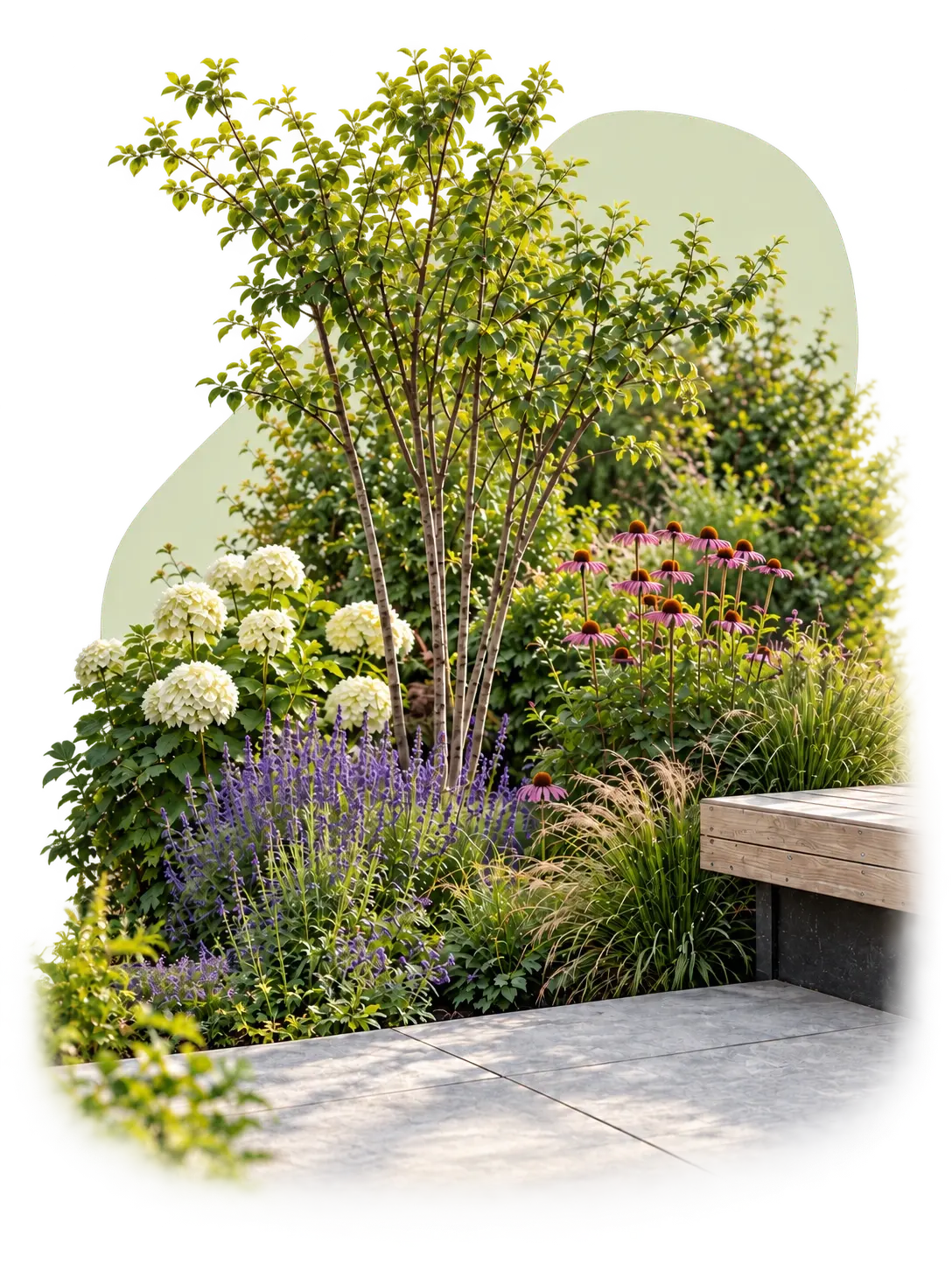 Tuin met een meerstammige boom, bloemenborder en houten zitbank